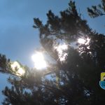 Z KAMERĄ PO BOISKACH – SKRÓTY Z WEEKENDU #110