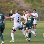 IV: PEWNA WYGRANA SZOMBIEREK Z PRZEMSZĄ SIEWIERZ