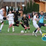 PP: DRZEWIARZ WALCZYŁ, ALE CIDRY MIAŁY STAMBUŁE