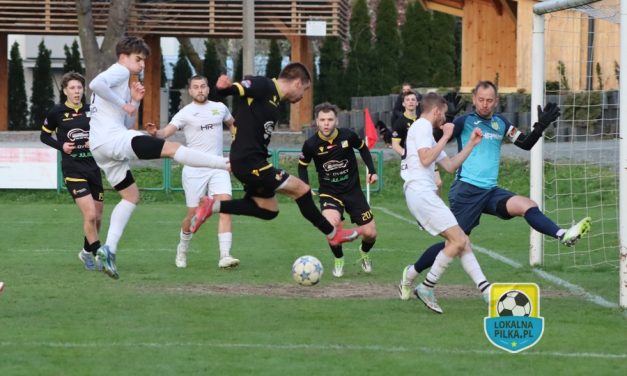 PP: DRZEWIARZ WALCZYŁ, ALE CIDRY MIAŁY STAMBUŁE