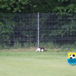 Z KAMERĄ PO BOISKACH – SKRÓTY Z WEEKENDU #103