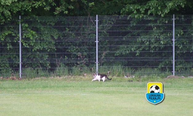 Z KAMERĄ PO BOISKACH – SKRÓTY Z WEEKENDU #103