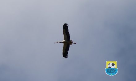 Z KAMERĄ PO BOISKACH – SKRÓTY Z WEEKENDU  #131