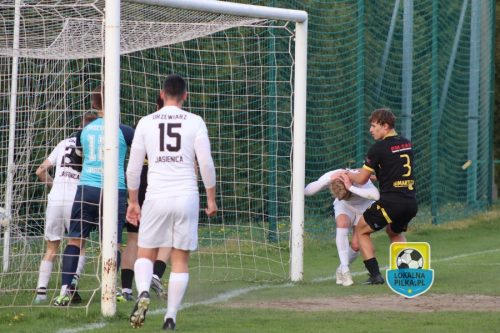 DRZEWIARZ JASIENICA - RUCH RADZIONKÓW